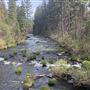 McArthur-Burney Falls Memorial State Park (SP)