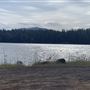 McArthur-Burney Falls Memorial State Park (SP)