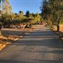Coulombe Ranch