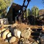 Coulombe Ranch