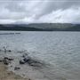 Whiskeytown Lake