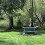 Mt. Shasta City Park