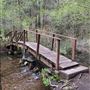 Mt. Shasta City Park