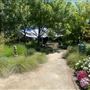 Sonoma Community Center
