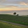 Catalina View Gardens aka Point View