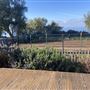 Catalina View Gardens aka Point View