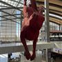 Sacramento International Airport