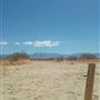 Desert Bliss