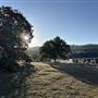 Driftwood Ranch