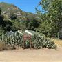 Malibu Creek State Park (SP)