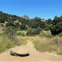 Malibu Creek State Park (SP)