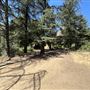 Malibu Creek State Park (SP)
