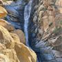 Cleveland National Forest
