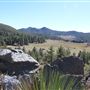 Cleveland National Forest