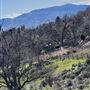 Tehachapi Log Cabin
