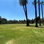 Lacy Park