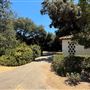 Lacy Park