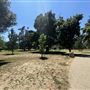 Lacy Park