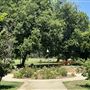 Lacy Park