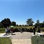 Huntington Library, Art Museum, and Botanical Gardens