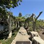 Huntington Library, Art Museum, and Botanical Gardens