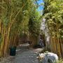 Huntington Library, Art Museum, and Botanical Gardens