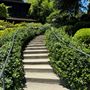 Huntington Library, Art Museum, and Botanical Gardens