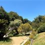 Huntington Library, Art Museum, and Botanical Gardens
