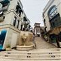 Rodeo Drive - Beverly Hills
