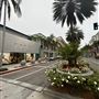 Rodeo Drive - Beverly Hills