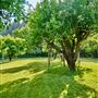 Dawn Ranch - Fern Grove Cottage