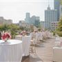 Savanna Rooftop