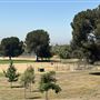 Hansen Dam Recreation Center / Department of Recreation & Parks City of Los Angeles' Land Leased From U.S. Army Corps of Engineers