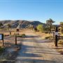 Desert Willow Ranch