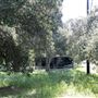 Private Property at Angeles National Forest - Spanish/Mediterranean Style