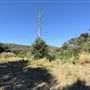 Malibu Creek State Park (SP)