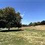 Lake Balboa/Anthony C. Beilenson Park