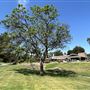 Woodley Lakes Golf Course