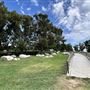 Sepulveda Basin Wildlife Preserve / Woodley Park