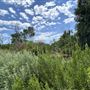 Sepulveda Basin Wildlife Preserve / Woodley Park