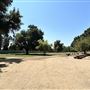 Woodley Park