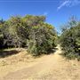 Orcutt Ranch Horticultural Center & Community Garden