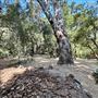 Orcutt Ranch Horticultural Center & Community Garden