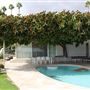 Frederick Loewe Estate