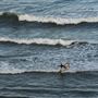 Leucadia State Beach (SB) - locally known as Beacon's Beach - permitted by the city of Encinitas