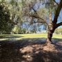 Shadow Ranch Park