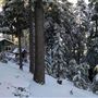 Twin Oaks Cabin on Palomar Mountain