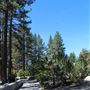 Kings Beach State Recreation Area (SRA)