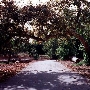 Irvine Regional Park