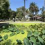 Echo Park Lake Recreation Center